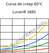 Curva de creep 60°C, Luran® 388S, SAN, INEOS Styrolution