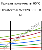 Кривая ползучести 60°C, Ultraform® W2320 003 TR AT, POM, BASF