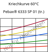 Kriechkurve 60°C, Pebax® 6333 SP 01 (trocken), TPA, ARKEMA