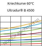 Kriechkurve 60°C, Ultradur® B 4500, PBT, BASF
