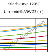 Kriechkurve 120°C, Ultramid® A3WG3 (trocken), PA66-GF15, BASF