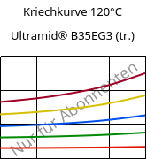 Kriechkurve 120°C, Ultramid® B35EG3 (trocken), PA6-GF15, BASF