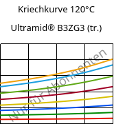 Kriechkurve 120°C, Ultramid® B3ZG3 (trocken), PA6-I-GF15, BASF