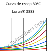 Curva de creep 80°C, Luran® 388S, SAN, INEOS Styrolution