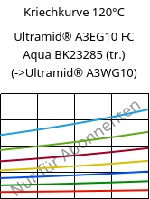 Kriechkurve 120°C, Ultramid® A3EG10 FC Aqua BK23285 (trocken), PA66-GF50, BASF