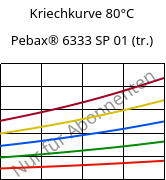 Kriechkurve 80°C, Pebax® 6333 SP 01 (trocken), TPA, ARKEMA