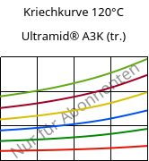 Kriechkurve 120°C, Ultramid® A3K (trocken), PA66, BASF