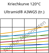 Kriechkurve 120°C, Ultramid® A3WG5 (trocken), PA66-GF25, BASF