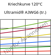 Kriechkurve 120°C, Ultramid® A3WG6 (trocken), PA66-GF30, BASF