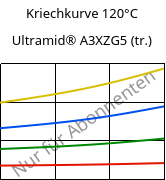 Kriechkurve 120°C, Ultramid® A3XZG5 (trocken), PA66-I-GF25 FR(52), BASF