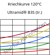 Kriechkurve 120°C, Ultramid® B3S (trocken), PA6, BASF