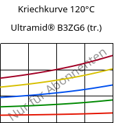 Kriechkurve 120°C, Ultramid® B3ZG6 (trocken), PA6-I-GF30, BASF
