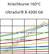 Kriechkurve 160°C, Ultradur® B 4300 G6, PBT-GF30, BASF