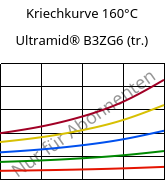 Kriechkurve 160°C, Ultramid® B3ZG6 (trocken), PA6-I-GF30, BASF