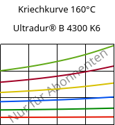 Kriechkurve 160°C, Ultradur® B 4300 K6, PBT-GB30, BASF