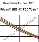 Kriechmodul-Zeit 40°C, Rilsan® BESNO P20 TL (trocken), PA11, ARKEMA