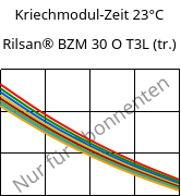 Kriechmodul-Zeit 23°C, Rilsan® BZM 30 O T3L (trocken), PA11-GF30, ARKEMA