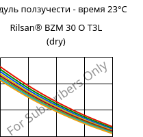 Модуль ползучести - время 23°C, Rilsan® BZM 30 O T3L (сухой), PA11-GF30, ARKEMA