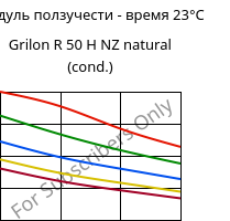 Модуль ползучести - время 23°C, Grilon R 50 H NZ natural (усл.), PA6, EMS-GRIVORY