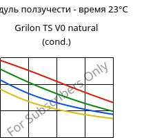 Модуль ползучести - время 23°C, Grilon TS V0 natural (усл.), PA666, EMS-GRIVORY