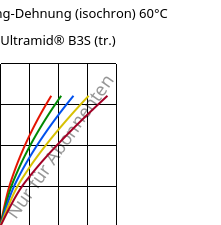 Spannung-Dehnung (isochron) 60°C, Ultramid® B3S (trocken), PA6, BASF
