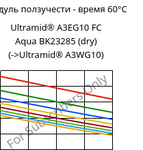 Модуль ползучести - время 60°C, Ultramid® A3EG10 FC Aqua BK23285 (сухой), PA66-GF50, BASF