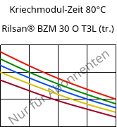 Kriechmodul-Zeit 80°C, Rilsan® BZM 30 O T3L (trocken), PA11-GF30, ARKEMA