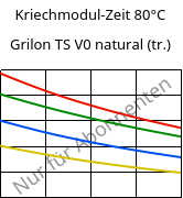 Kriechmodul-Zeit 80°C, Grilon TS V0 natural (trocken), PA666, EMS-GRIVORY