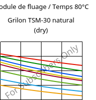 Module de fluage / Temps 80°C, Grilon TSM-30 natural (sec), PA666-MD30, EMS-GRIVORY