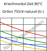 Kriechmodul-Zeit 80°C, Grilon TSS/4 natural (trocken), PA666, EMS-GRIVORY