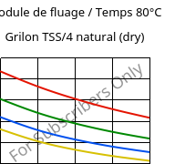 Module de fluage / Temps 80°C, Grilon TSS/4 natural (sec), PA666, EMS-GRIVORY
